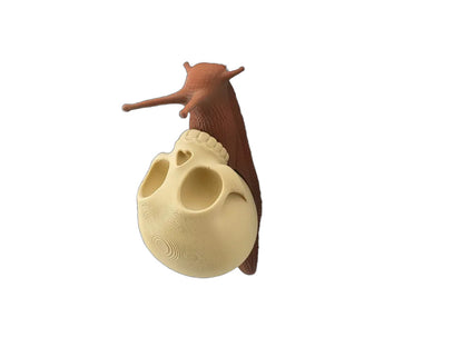 Totenkopfschnecke als mehrfarbige Bücherregal-Dekoration in Desert Tan und Terracotta