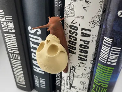 Totenkopfschnecke als mehrfarbige Bücherregal-Dekoration in Desert Tan und Terracotta – Ansicht 3