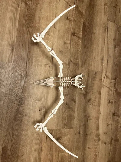 Beiges Pteranodon-3D-Puzzle aus zusammensetzbaren Teilen – Ansicht 3