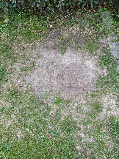 Vier PETG-Rasenplatten für Mähroboter im Garten – Ansicht 4