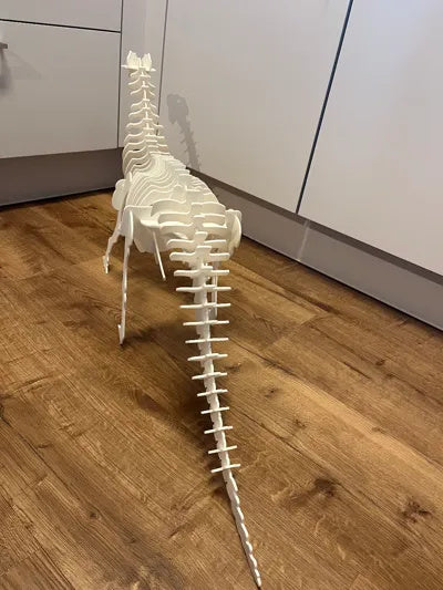 Weißes Brontosaurus-3D-Puzzle aus PLA-Teilen – Ansicht 6