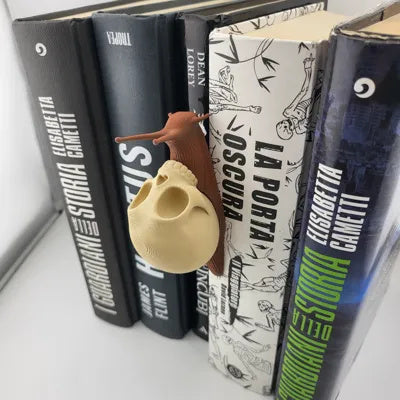 Totenkopfschnecke als mehrfarbige Bücherregal-Dekoration in Desert Tan und Terracotta – Ansicht 7