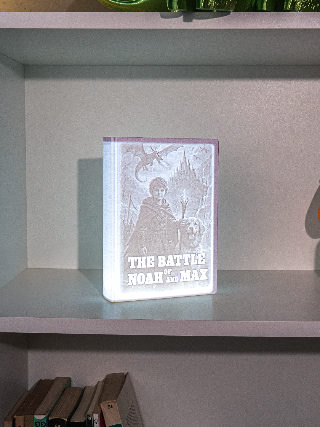 3D Fotolampen-Gehäuse  BUCH – Deine Erinnerung individuell gestaltet
